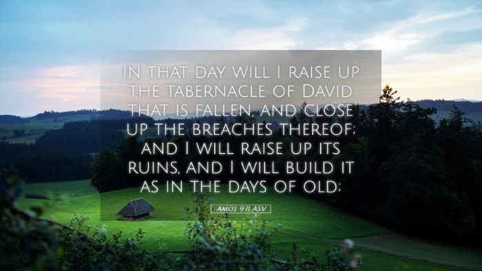 Picture 05 - Amos 9:11 ASV Desktop Wallpaper - In that day will I raise up the tabernacle of - Desktop Bible Verse Wallpaper