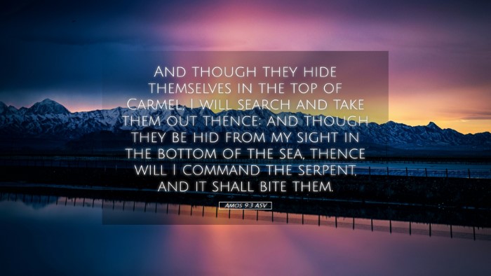 Picture 05 - Amos 9:3 ASV Desktop Wallpaper - And though they hide themselves in the top of - Desktop Bible Verse Wallpaper