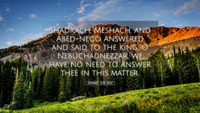 Picture 05 - Daniel 3:16 ASV Desktop Wallpaper - Shadrach, Meshach, and Abed-nego answered and - Desktop Bible Verse Wallpaper