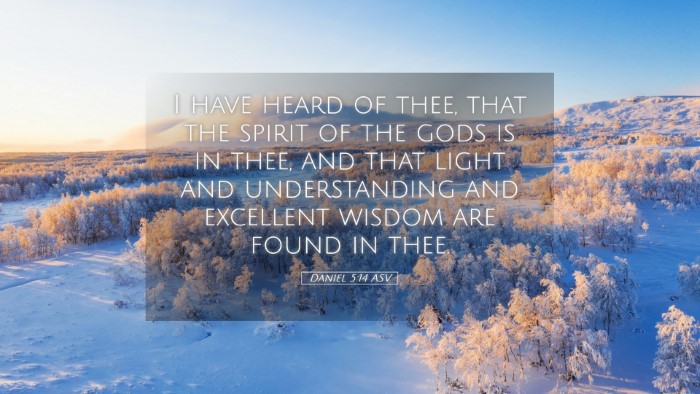 Picture 05 - Daniel 5:14 ASV Desktop Wallpaper - I have heard of thee, that the spirit of the gods - Desktop Bible Verse Wallpaper