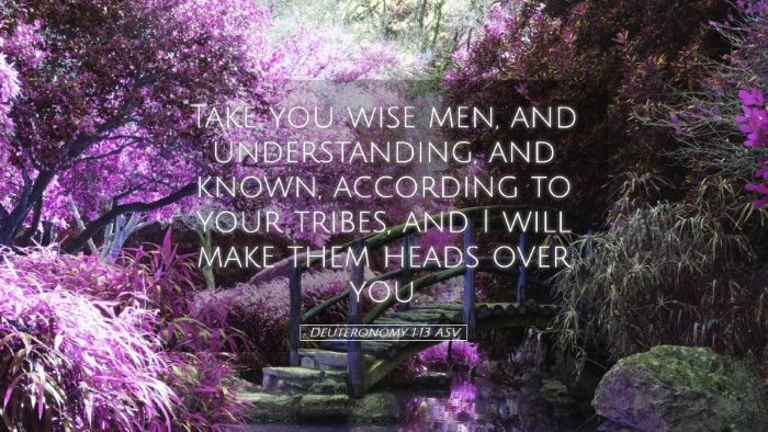 Picture 05 - Deuteronomy 1:13 ASV Desktop Wallpaper - Take you wise men, and understanding, and known, - Desktop Bible Verse Wallpaper