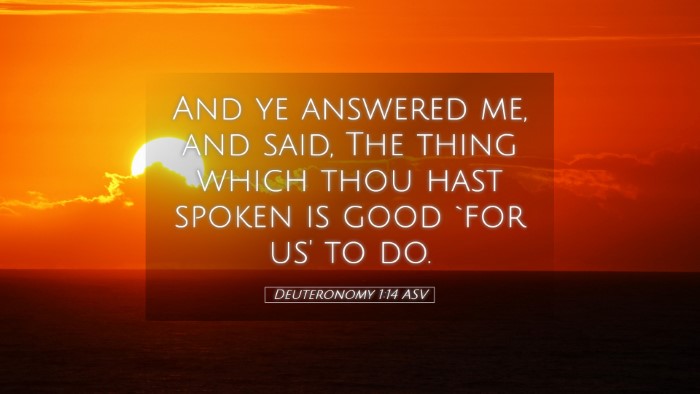 Picture 05 - Deuteronomy 1:14 ASV Desktop Wallpaper - And ye answered me, and said, The thing which - Desktop Bible Verse Wallpaper