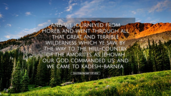 Picture 05 - Deuteronomy 1:19 ASV Desktop Wallpaper - And we journeyed from Horeb, and went through all - Desktop Bible Verse Wallpaper