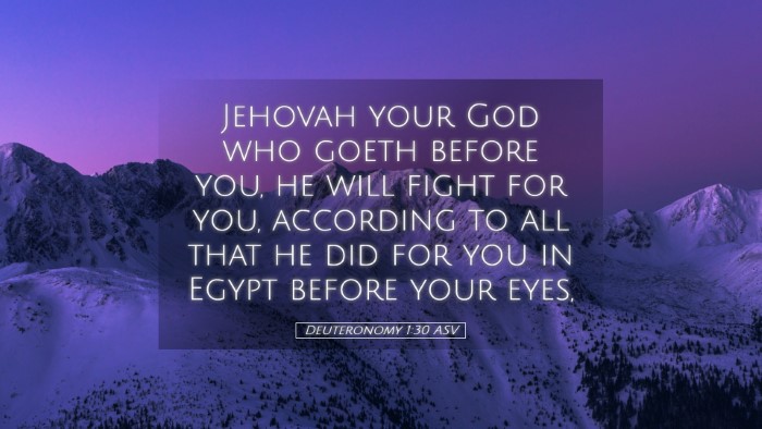 Picture 05 - Deuteronomy 1:30 ASV Desktop Wallpaper - Jehovah your God who goeth before you, he will - Desktop Bible Verse Wallpaper