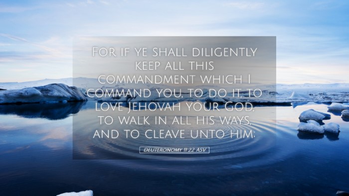Picture 05 - Deuteronomy 11:22 ASV Desktop Wallpaper - For if ye shall diligently keep all this - Desktop Bible Verse Wallpaper