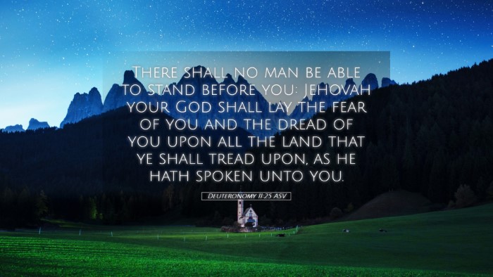 Picture 05 - Deuteronomy 11:25 ASV Desktop Wallpaper - There shall no man be able to stand before you: - Desktop Bible Verse Wallpaper