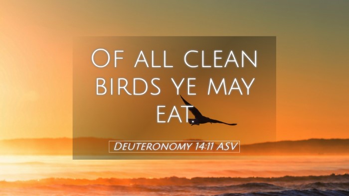 Picture 05 - Deuteronomy 14:11 ASV Desktop Wallpaper - Of all clean birds ye may - Desktop Bible Verse Wallpaper