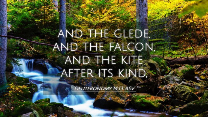 Picture 05 - Deuteronomy 14:13 ASV Desktop Wallpaper - and the glede, and the falcon, and the kite after - Desktop Bible Verse Wallpaper