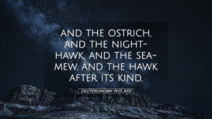 Picture 05 - Deuteronomy 14:15 ASV Desktop Wallpaper - and the ostrich, and the night-hawk, and the - Desktop Bible Verse Wallpaper