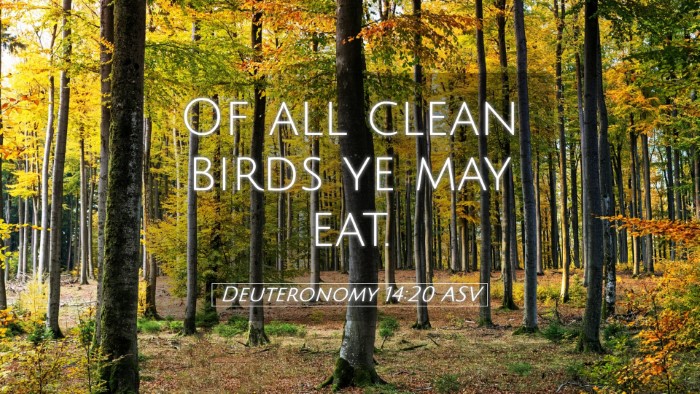 Picture 05 - Deuteronomy 14:20 ASV Desktop Wallpaper - Of all clean birds ye may - Desktop Bible Verse Wallpaper