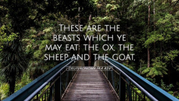Picture 05 - Deuteronomy 14:4 ASV Desktop Wallpaper - These are the beasts which ye may eat: the ox, - Desktop Bible Verse Wallpaper