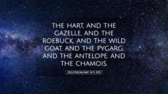 Picture 05 - Deuteronomy 14:5 ASV Desktop Wallpaper - the hart, and the gazelle, and the roebuck, and - Desktop Bible Verse Wallpaper