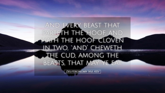 Picture 05 - Deuteronomy 14:6 ASV Desktop Wallpaper - And every beast that parteth the hoof, and hath - Desktop Bible Verse Wallpaper