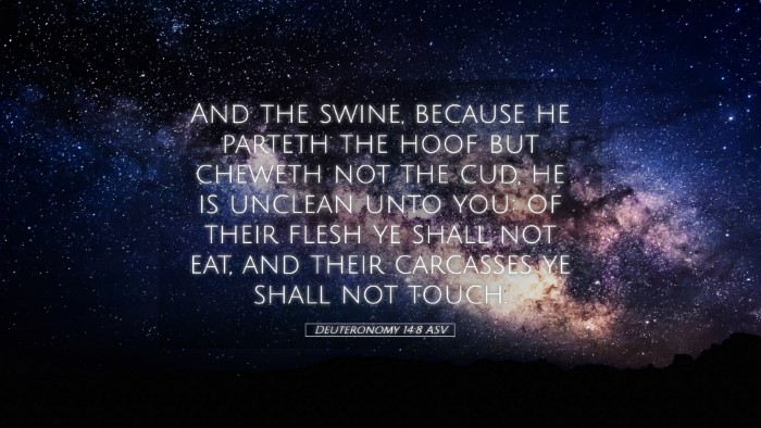 Picture 05 - Deuteronomy 14:8 ASV Desktop Wallpaper - And the swine, because he parteth the hoof but - Desktop Bible Verse Wallpaper