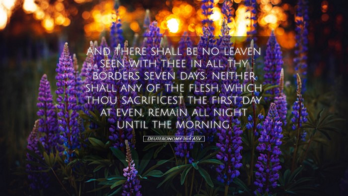 Picture 05 - Deuteronomy 16:4 ASV Desktop Wallpaper - And there shall be no leaven seen with thee in - Desktop Bible Verse Wallpaper