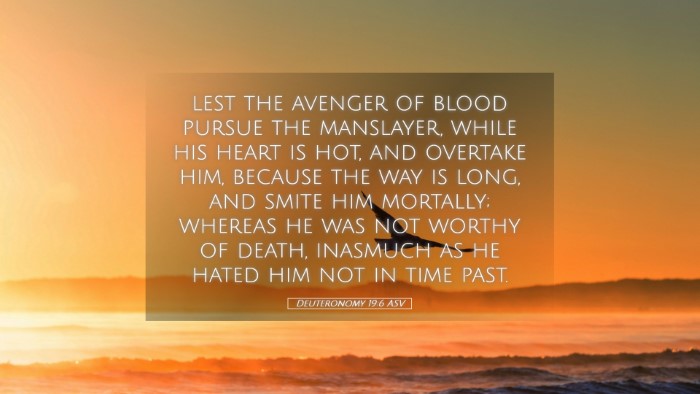 Picture 05 - Deuteronomy 19:6 ASV Desktop Wallpaper - lest the avenger of blood pursue the manslayer, - Desktop Bible Verse Wallpaper