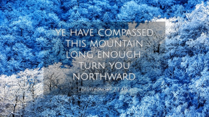 Picture 05 - Deuteronomy 2:3 ASV Desktop Wallpaper - Ye have compassed this mountain long enough: turn - Desktop Bible Verse Wallpaper