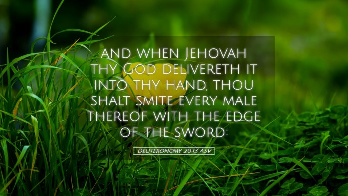Picture 05 - Deuteronomy 20:13 ASV Desktop Wallpaper - and when Jehovah thy God delivereth it into thy - Desktop Bible Verse Wallpaper