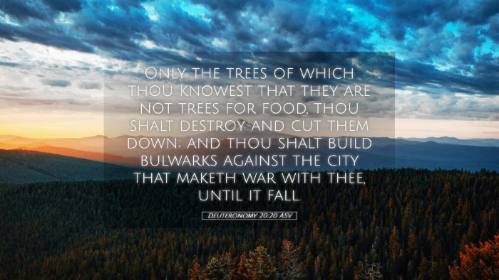 Picture 05 - Deuteronomy 20:20 ASV Desktop Wallpaper - Only the trees of which thou knowest that they - Desktop Bible Verse Wallpaper
