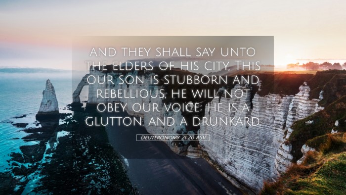 Picture 05 - Deuteronomy 21:20 ASV Desktop Wallpaper - and they shall say unto the elders of his city, - Desktop Bible Verse Wallpaper