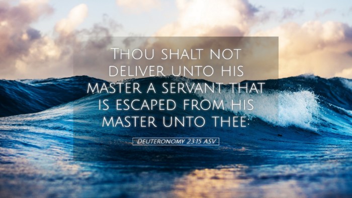 Picture 05 - Deuteronomy 23:15 ASV Desktop Wallpaper - Thou shalt not deliver unto his master a servant - Desktop Bible Verse Wallpaper