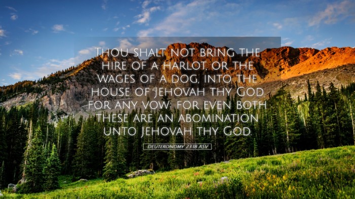 Picture 05 - Deuteronomy 23:18 ASV Desktop Wallpaper - Thou shalt not bring the hire of a harlot, or the - Desktop Bible Verse Wallpaper