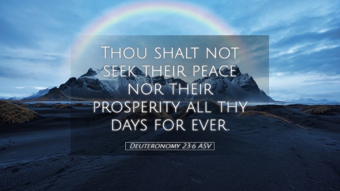Picture 05 - Deuteronomy 23:6 ASV Desktop Wallpaper - Thou shalt not seek their peace nor their - Desktop Bible Verse Wallpaper