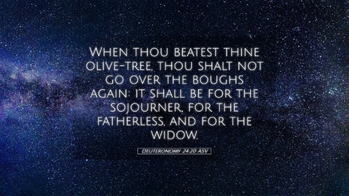 Picture 05 - Deuteronomy 24:20 ASV Desktop Wallpaper - When thou beatest thine olive-tree, thou shalt - Desktop Bible Verse Wallpaper