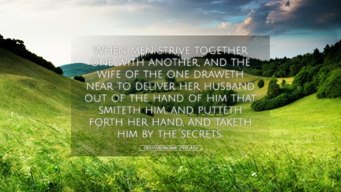 Picture 05 - Deuteronomy 25:11 ASV Desktop Wallpaper - When men strive together one with another, and - Desktop Bible Verse Wallpaper