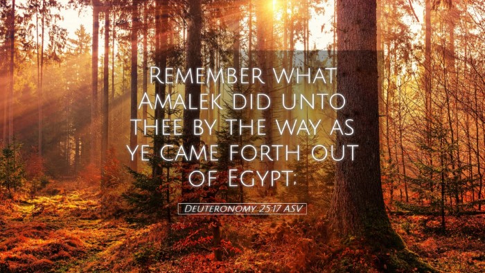 Picture 05 - Deuteronomy 25:17 ASV Desktop Wallpaper - Remember what Amalek did unto thee by the way as - Desktop Bible Verse Wallpaper
