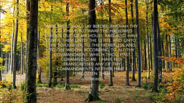 Picture 05 - Deuteronomy 26:13 ASV Desktop Wallpaper - And thou shalt say before Jehovah thy God, I have - Desktop Bible Verse Wallpaper