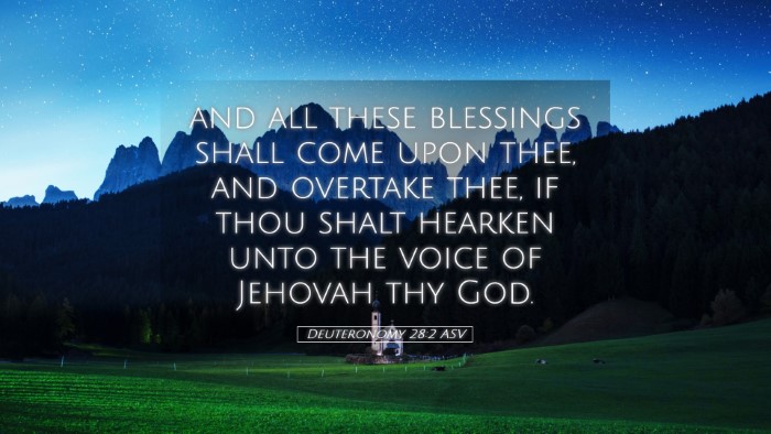 Picture 05 - Deuteronomy 28:2 ASV Desktop Wallpaper - and all these blessings shall come upon thee, and - Desktop Bible Verse Wallpaper