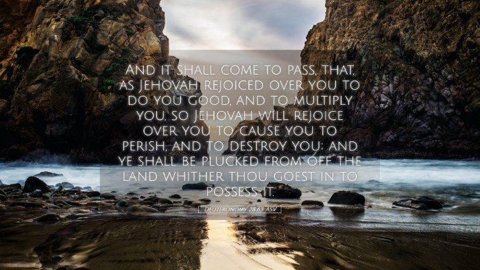 Picture 05 - Deuteronomy 28:63 ASV Desktop Wallpaper - And it shall come to pass, that, as Jehovah - Desktop Bible Verse Wallpaper