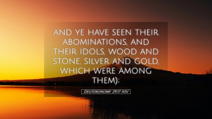 Picture 05 - Deuteronomy 29:17 ASV Desktop Wallpaper - and ye have seen their abominations, and their - Desktop Bible Verse Wallpaper
