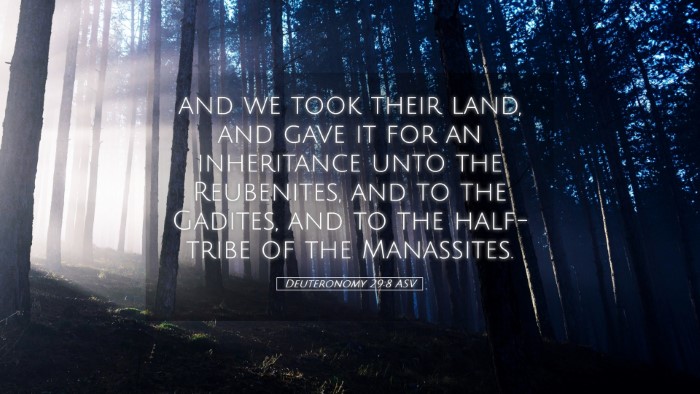Picture 05 - Deuteronomy 29:8 ASV Desktop Wallpaper - and we took their land, and gave it for an - Desktop Bible Verse Wallpaper