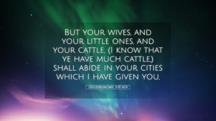 Picture 05 - Deuteronomy 3:19 ASV Desktop Wallpaper - But your wives, and your little ones, and your - Desktop Bible Verse Wallpaper