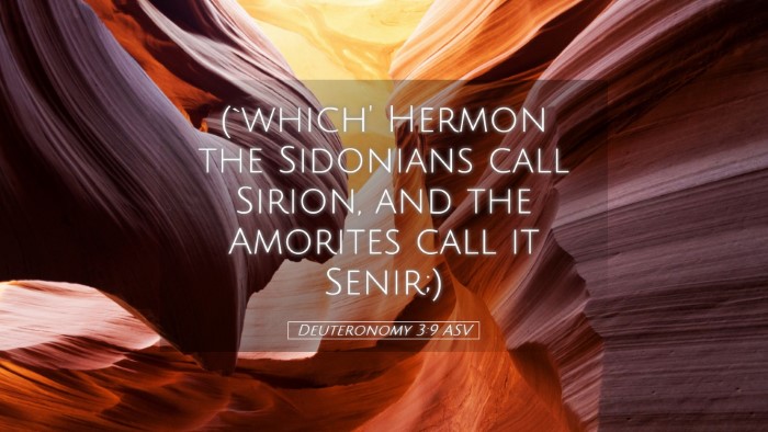Picture 05 - Deuteronomy 3:9 ASV Desktop Wallpaper - (`which' Hermon the Sidonians call Sirion, and - Desktop Bible Verse Wallpaper