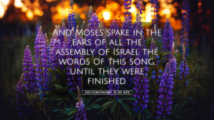 Picture 05 - Deuteronomy 31:30 ASV Desktop Wallpaper - And Moses spake in the ears of all the assembly - Desktop Bible Verse Wallpaper