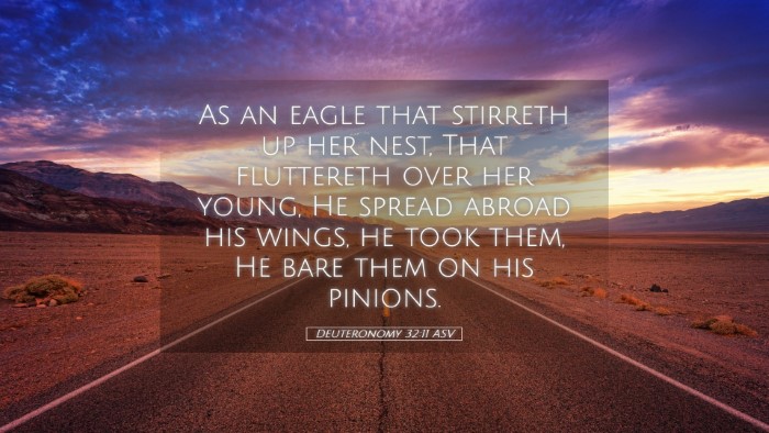 Picture 05 - Deuteronomy 32:11 ASV Desktop Wallpaper - As an eagle that stirreth up her nest, That - Desktop Bible Verse Wallpaper