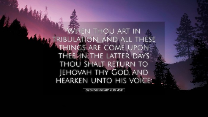 Picture 05 - Deuteronomy 4:30 ASV Desktop Wallpaper - When thou art in tribulation, and all these - Desktop Bible Verse Wallpaper