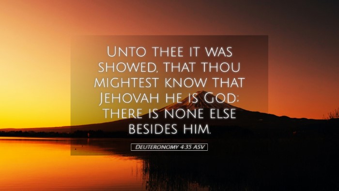 Picture 05 - Deuteronomy 4:35 ASV Desktop Wallpaper - Unto thee it was showed, that thou mightest know - Desktop Bible Verse Wallpaper