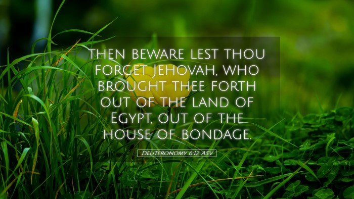Picture 05 - Deuteronomy 6:12 ASV Desktop Wallpaper - then beware lest thou forget Jehovah, who brought - Desktop Bible Verse Wallpaper