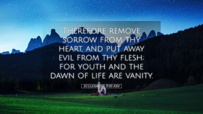 Picture 05 - Ecclesiastes 11:10 ASV Desktop Wallpaper - Therefore remove sorrow from thy heart, and put - Desktop Bible Verse Wallpaper