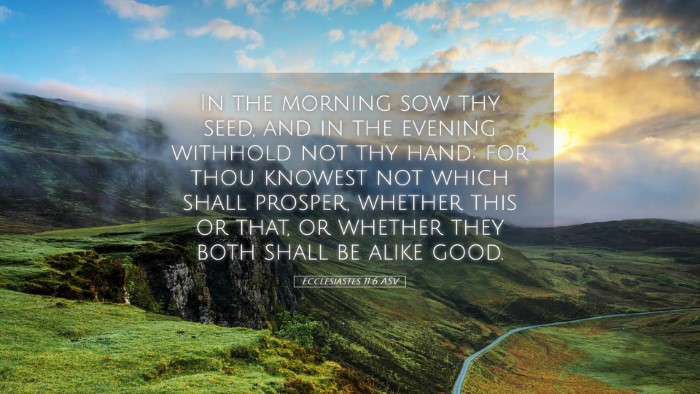 Picture 05 - Ecclesiastes 11:6 ASV Desktop Wallpaper - In the morning sow thy seed, and in the evening - Desktop Bible Verse Wallpaper