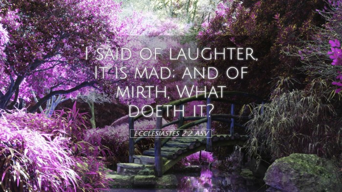 Picture 05 - Ecclesiastes 2:2 ASV Desktop Wallpaper - I said of laughter, It is mad; and of mirth, What - Desktop Bible Verse Wallpaper