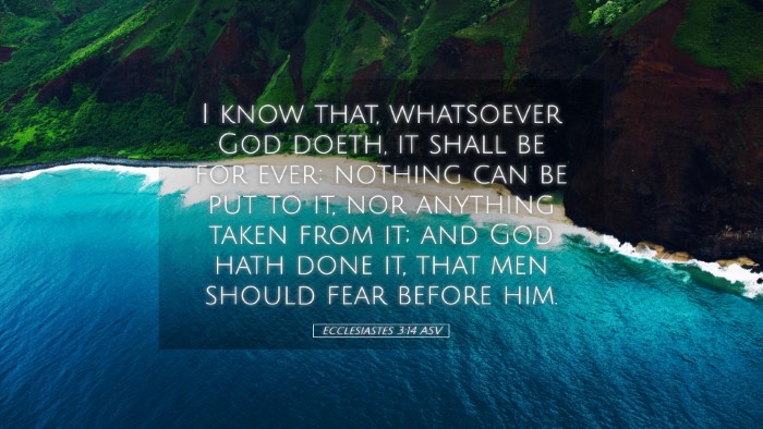 Picture 05 - Ecclesiastes 3:14 ASV Desktop Wallpaper - I know that, whatsoever God doeth, it shall be - Desktop Bible Verse Wallpaper