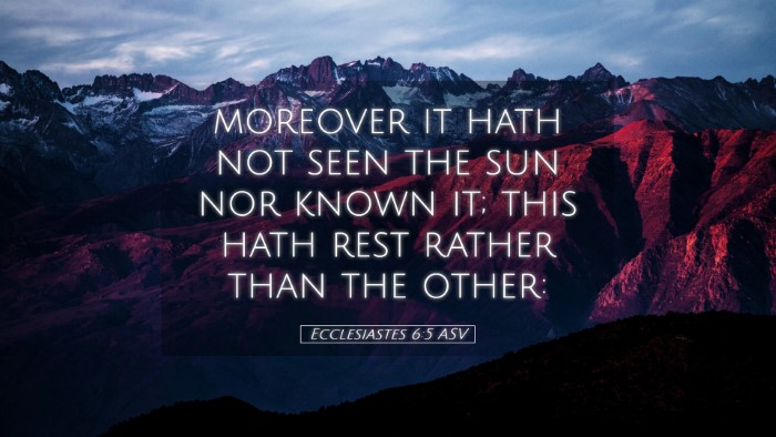 Picture 05 - Ecclesiastes 6:5 ASV Desktop Wallpaper - moreover it hath not seen the sun nor known it; - Desktop Bible Verse Wallpaper