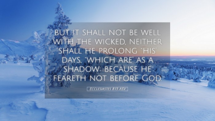 Picture 05 - Ecclesiastes 8:13 ASV Desktop Wallpaper - but it shall not be well with the wicked, neither - Desktop Bible Verse Wallpaper