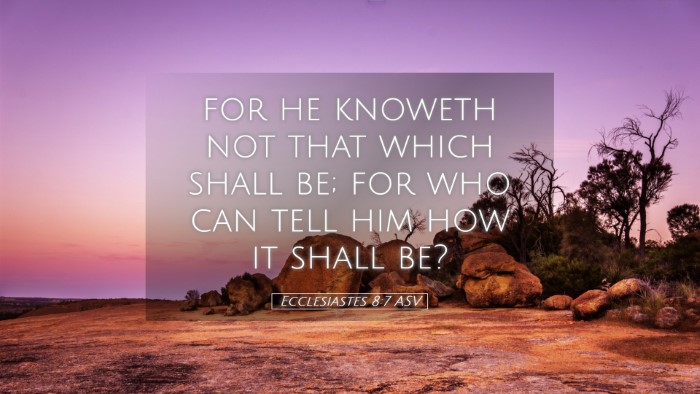 Picture 05 - Ecclesiastes 8:7 ASV Desktop Wallpaper - for he knoweth not that which shall be; for who - Desktop Bible Verse Wallpaper