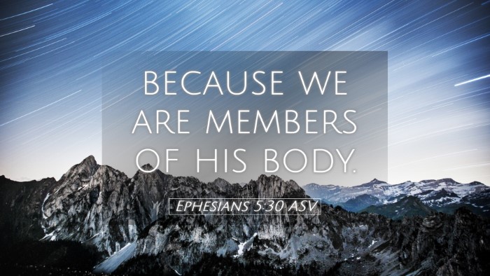 Picture 05 - Ephesians 5:30 ASV Desktop Wallpaper - because we are members of his - Desktop Bible Verse Wallpaper